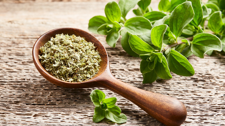 Oregano